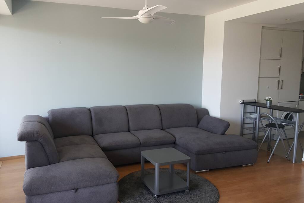 Living room sofa