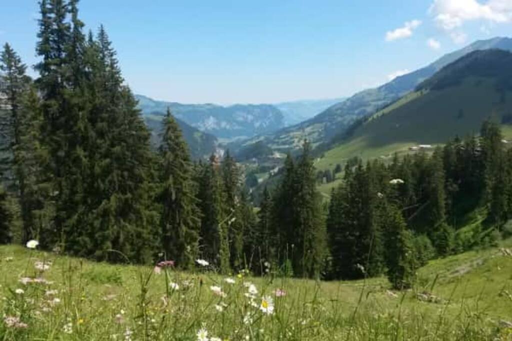 Aussicht aus dem Ferienzentrum
