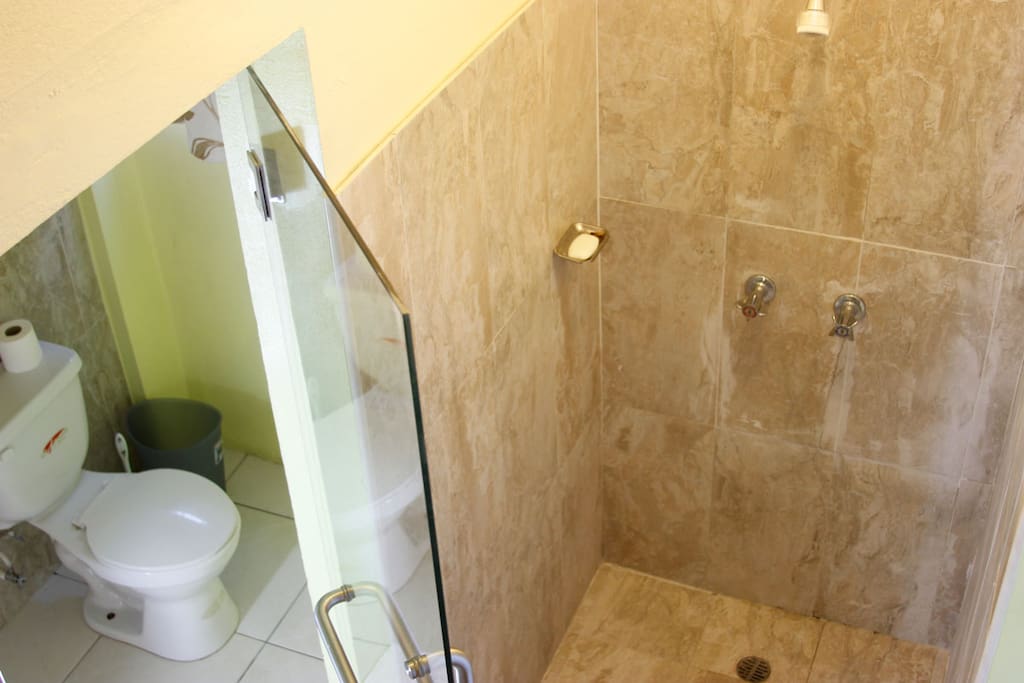 The room comes with a large shower!