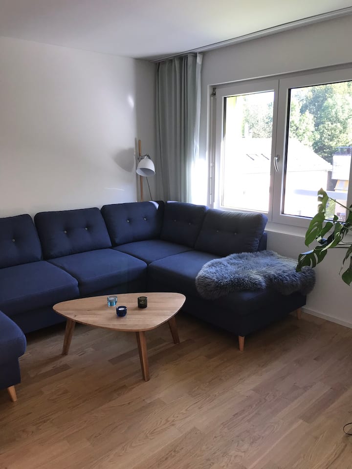 ספה שהופכת למיטה השנייה. ראו תמונה הבאה 