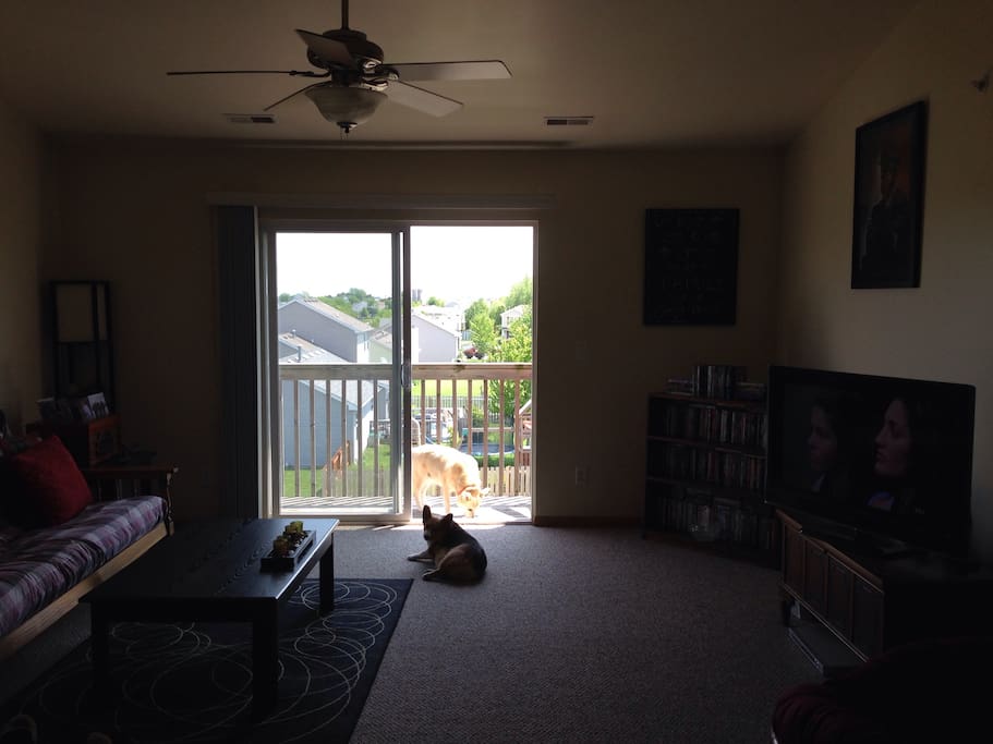 Living Room and Balcony