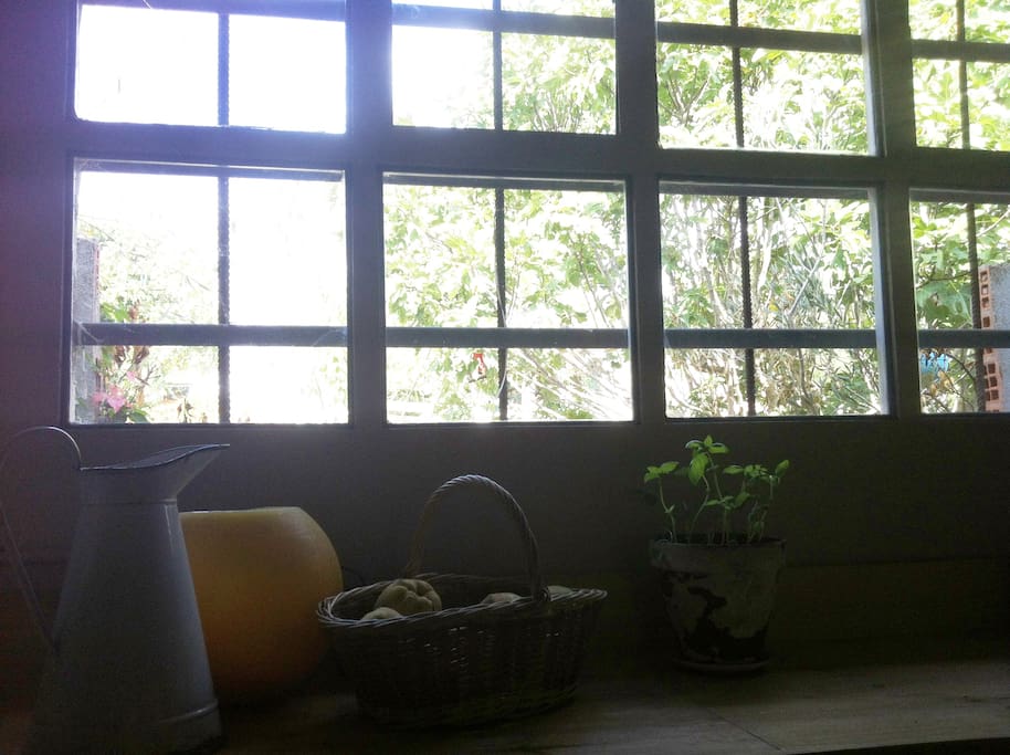 Ventana cocina