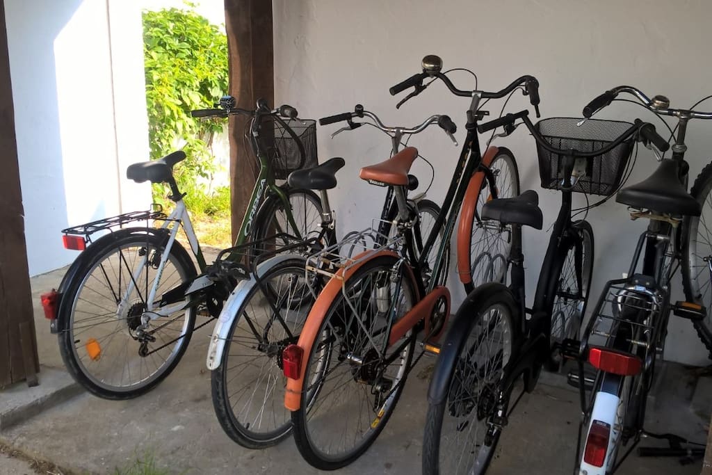 les vélos vous attendent !