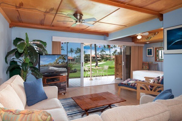 The living area features a light blue wall and wooden ceiling, combining a sofa and casual seating. A coffee table is centered, with a television setup nearby. Sliding glass doors offer views of the lawn and outdoor seating, while a convertible sleeping area is visible in the background.