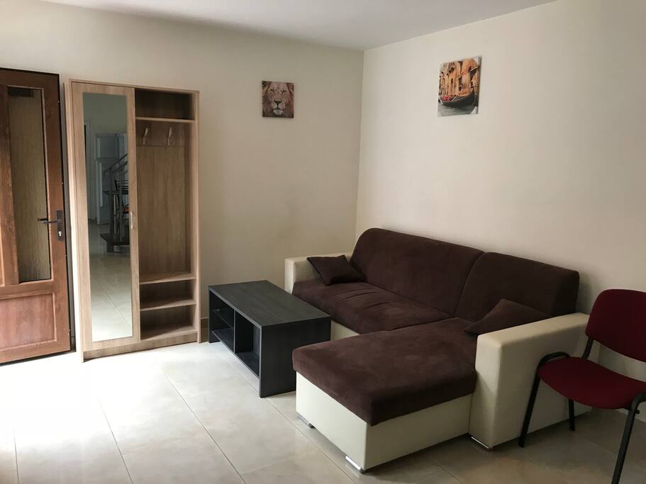 downstairs living room with sleeper sofa