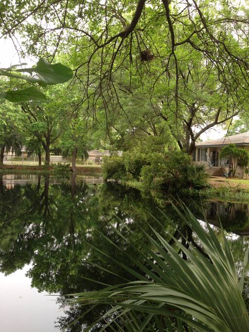 Backyard Lake