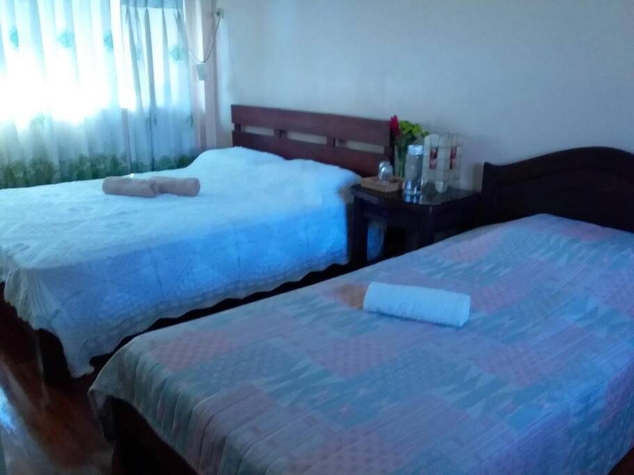 Green Room- good for 3 person, maximum of 4 persons with an extra mattress