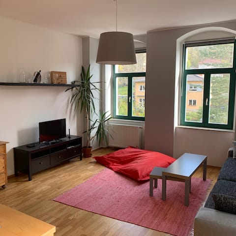 Helle komfortable 2 Zimmer Apartment - Internet