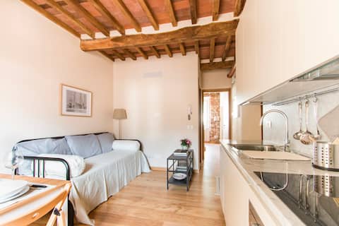 Top performing Airbnb: Apartment in Pietrasanta in Pietrasanta