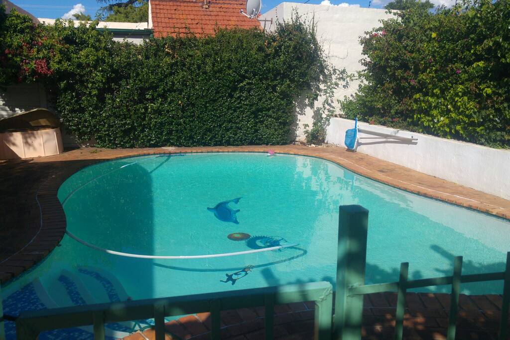 Swimming pool and braai area