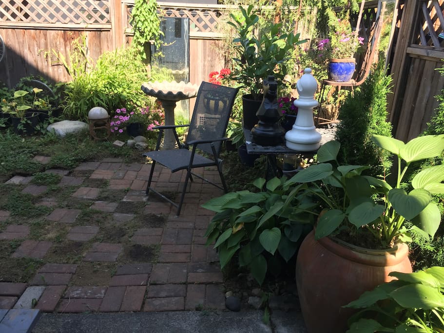 Our quaint backyard