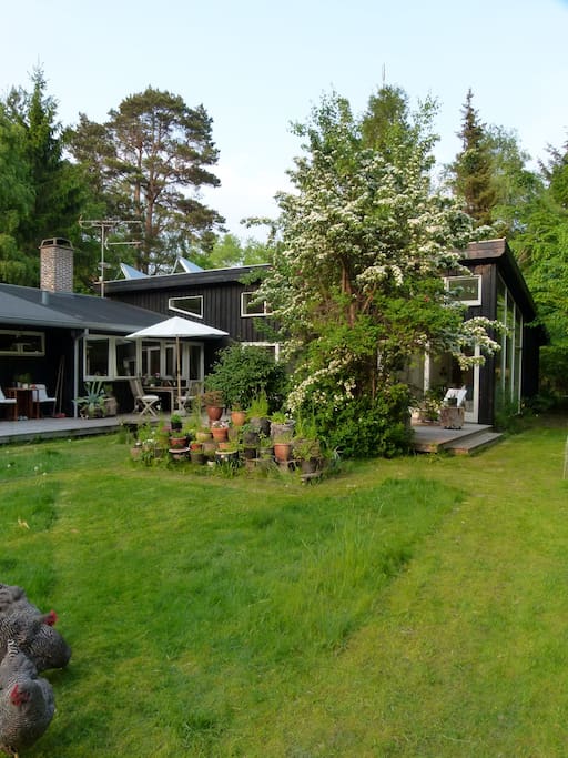 huset set fra haven