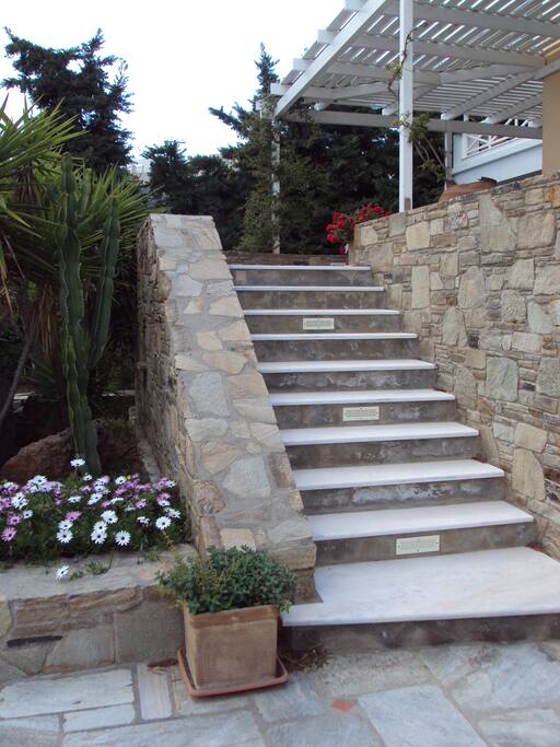 Climb the steps to your dream house