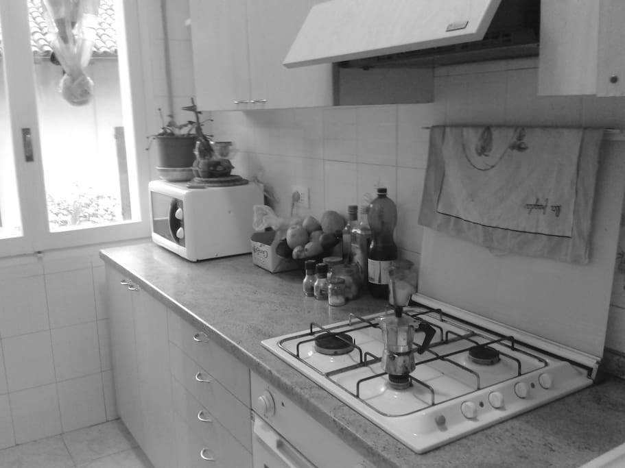 Cucina