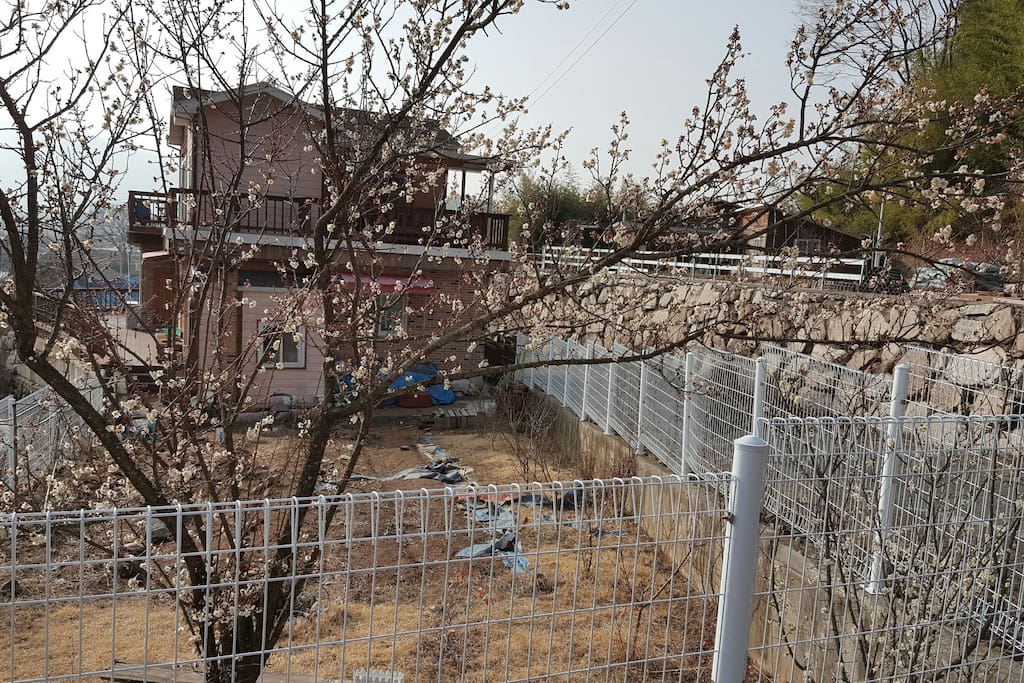 후면