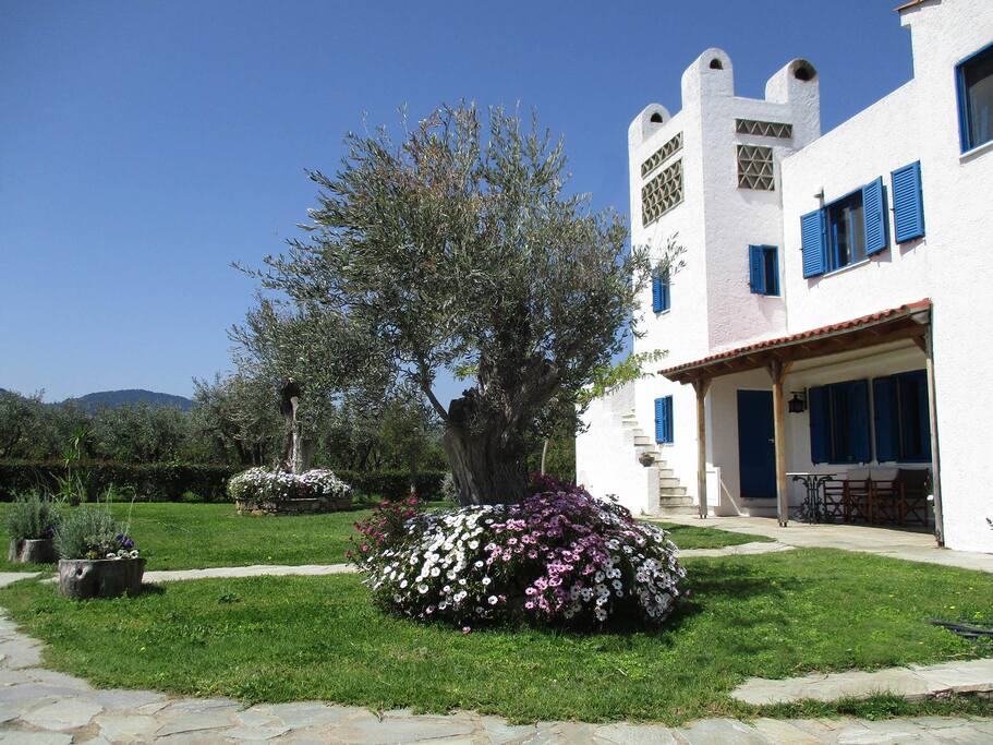 Another view of the main building (the property for rent is on the ground floor).