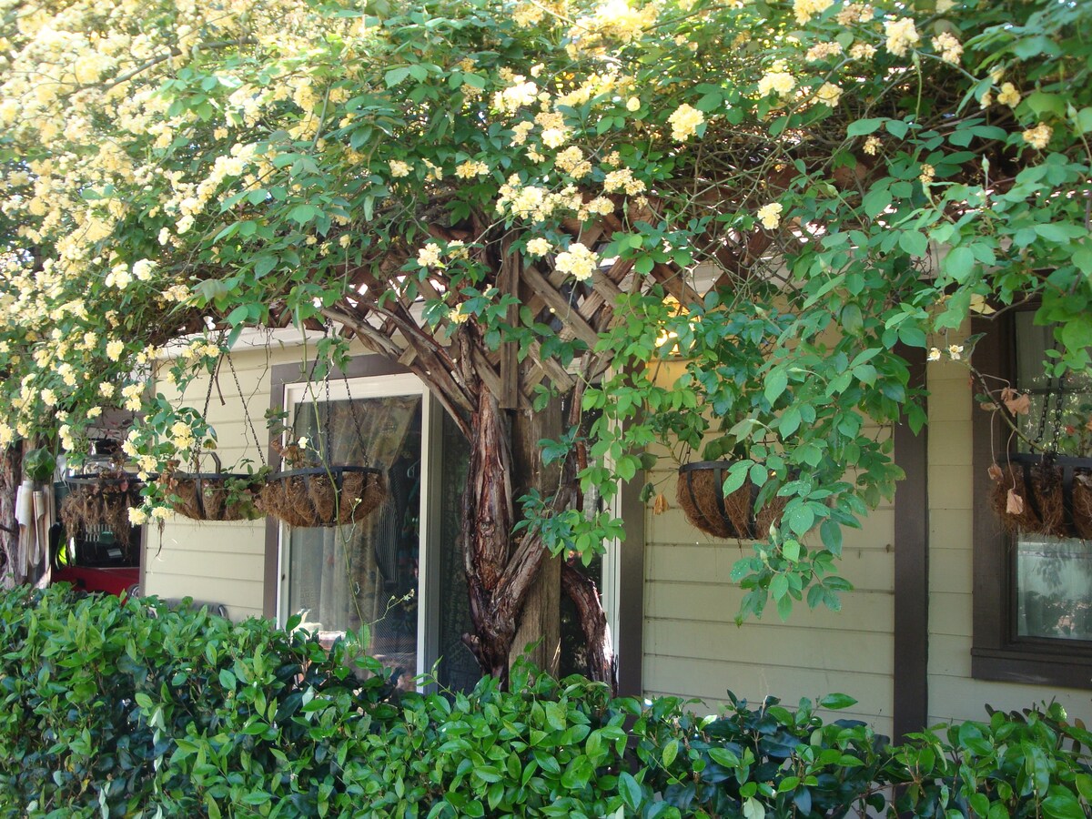 Artists' Retreat: A Place To Be - Guesthouses For Rent In Santa Rosa ...