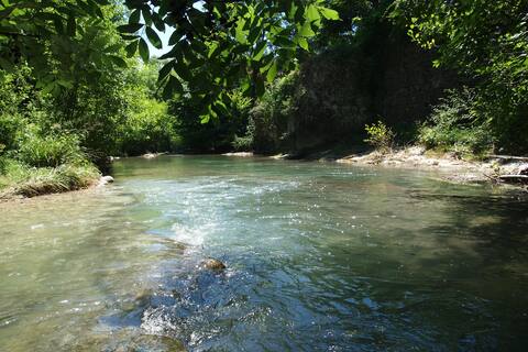 Feet in the water: Gîte l 'Olivier -Plage privée