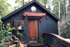 The+Guest+Cottage+in+the+Redwoods