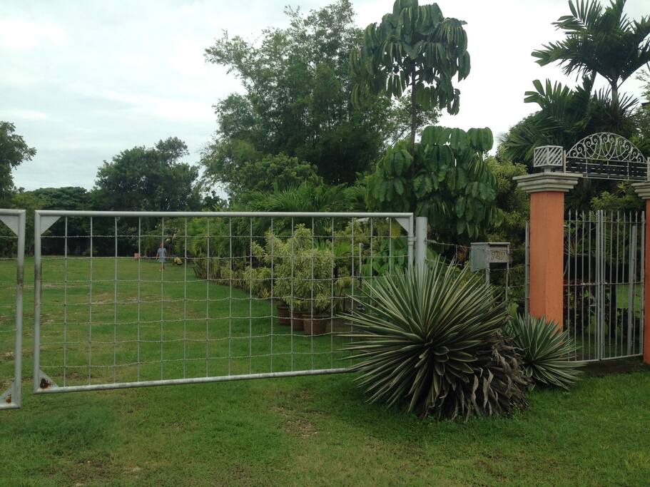 Secured entrance and wide green event place