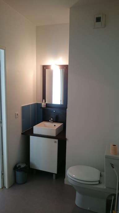 Espace salle de bain + W.C
