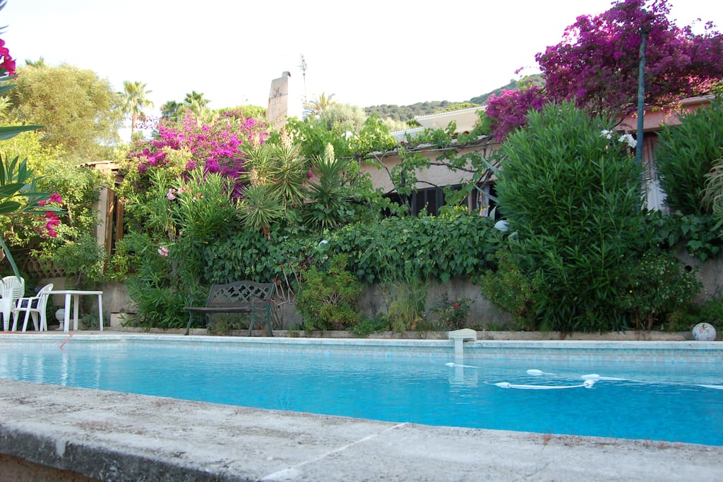 Villa entourée de végétation luxuriante