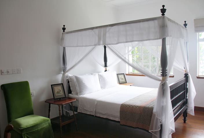 The Oriole Room
