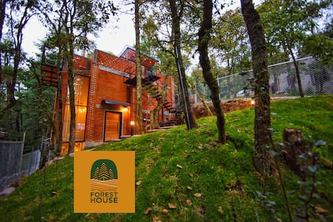 Forest House Cabin 1 Boutique Mineral del Monte