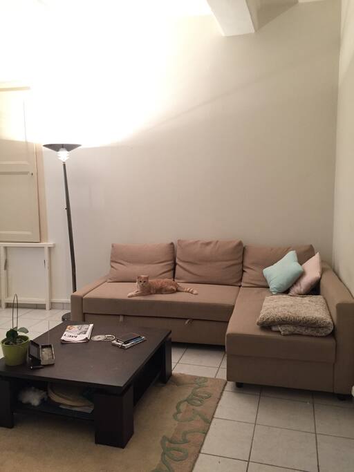 Canapé convertible (Lit en 140x210 & confortable !)
