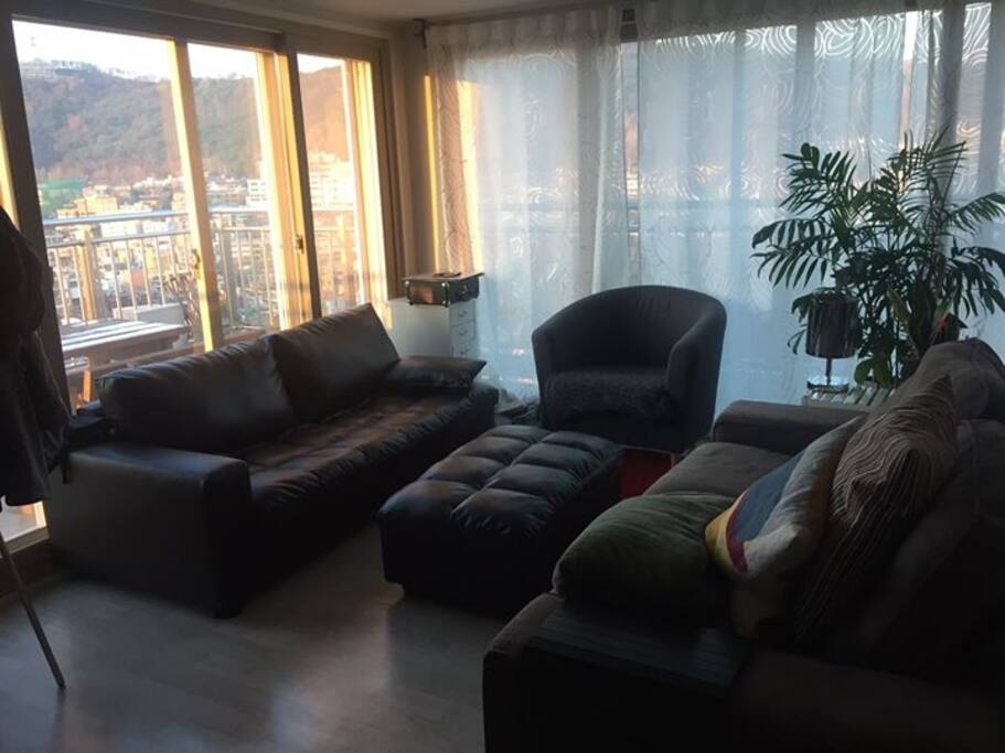 Cozy and comfortable living room with floor - to - ceiling windows