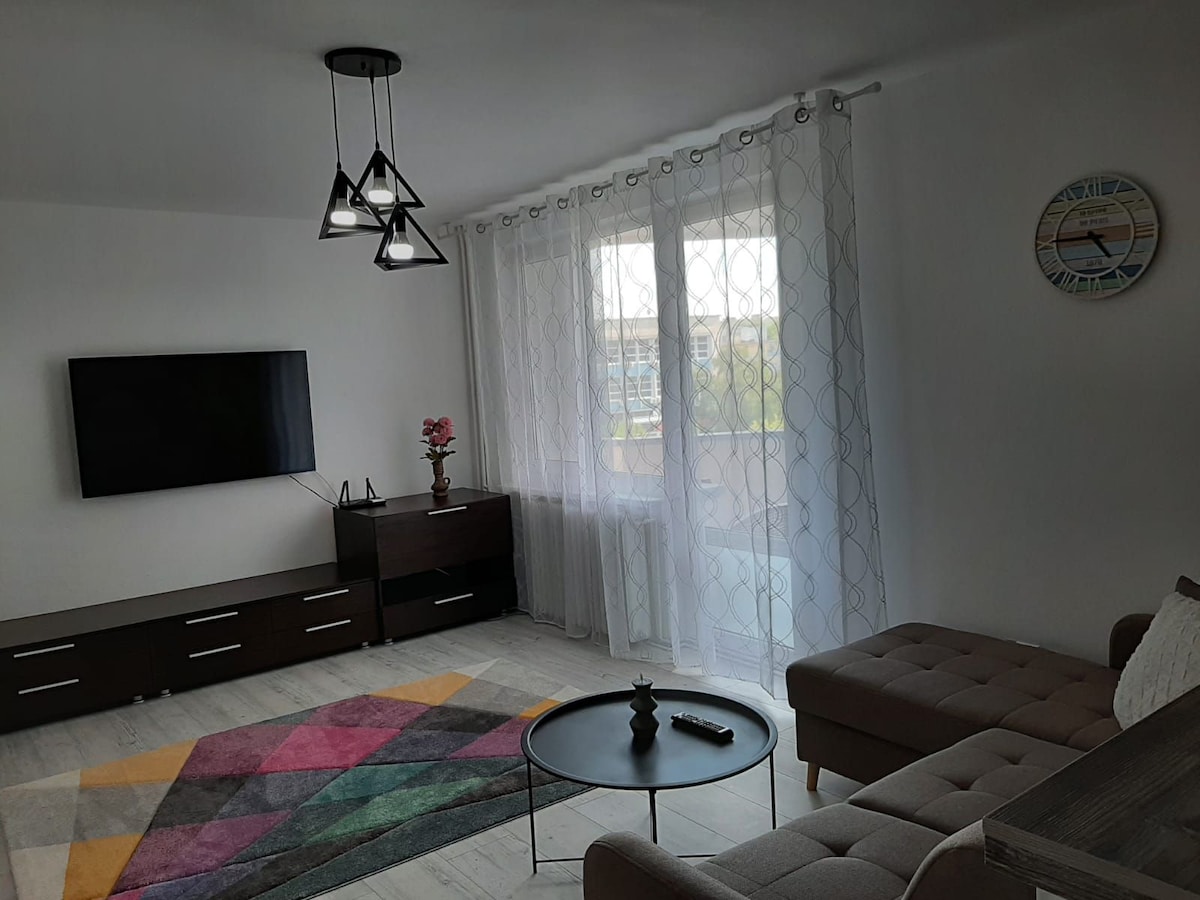 An inviting living space is featured, with a modern design highlighted by a geometric area rug. A comfortable seating area is complemented by a sleek coffee table. Natural light streams through the sheer curtains, enhancing the overall brightness of the room.