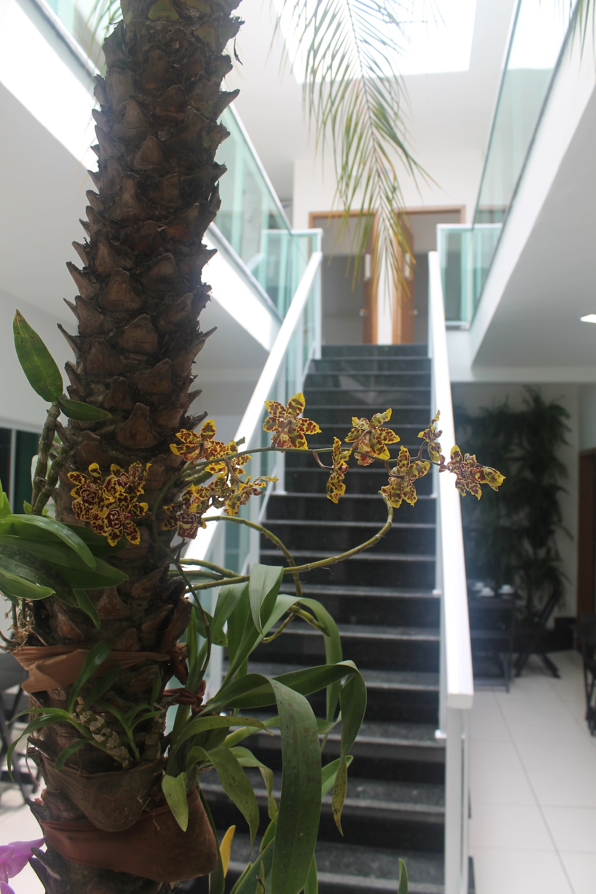 A staircase with sleek glass railings ascends to the upper level, framed by bright, indoor planters. An intricate orchid plant with patterned petals rests prominently in the foreground, enhancing the natural elements of the open space.
