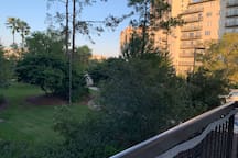 Enclave - 1202 - Universal Studios, International Dr rental in Orlando
