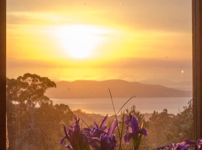 sunrise from your cozy bed