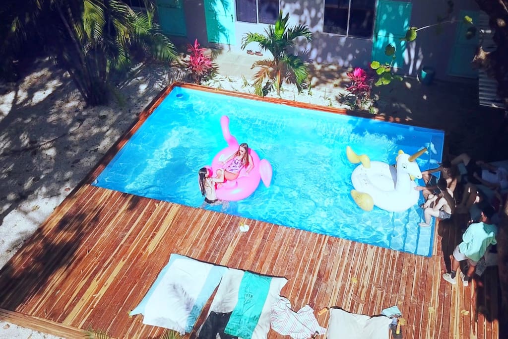 Pool & Garden