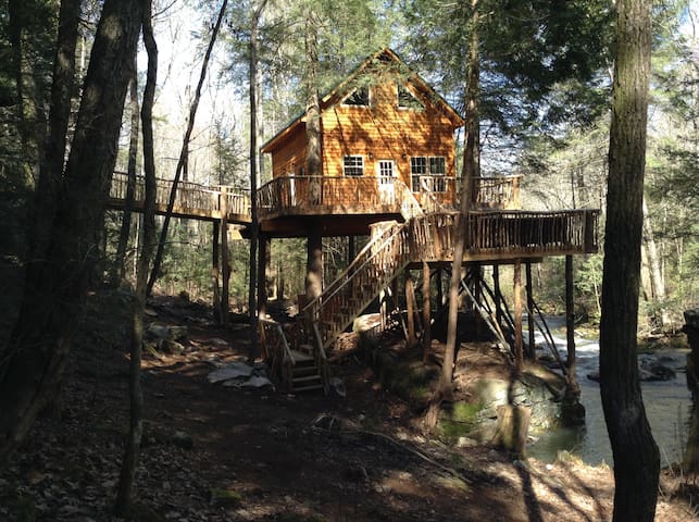 Morrison's Treehouse Getaway