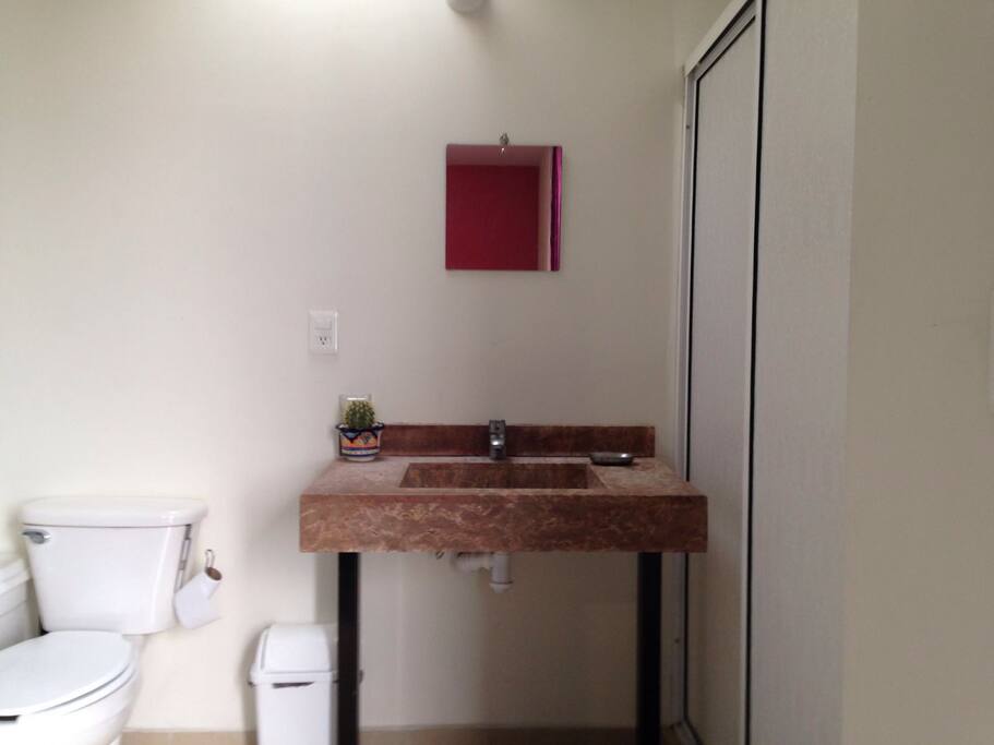 Baño dentro de Recamara
