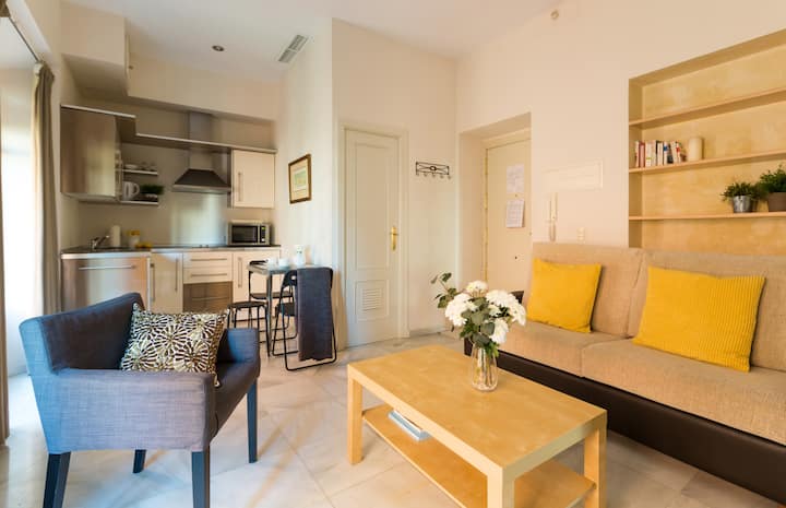 Comfortable Apartment in Seville