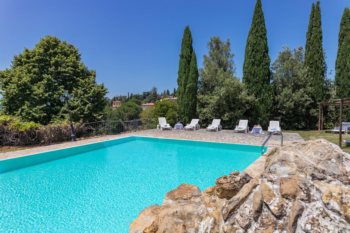 A seasonal swimming pool with an irregular shape reflects clear blue water under a bright sky. Surrounding the pool are several sun loungers positioned on a stone patio, flanked by tall evergreen trees and lush greenery, providing a serene outdoor space.