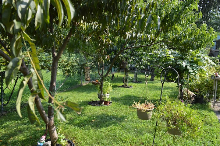 Cozy and Beautiful One Bedroom with Garden Access