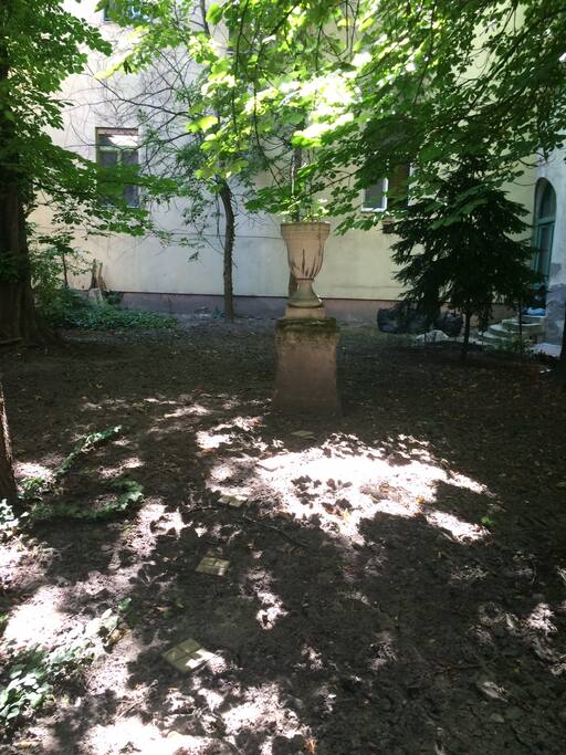 garden