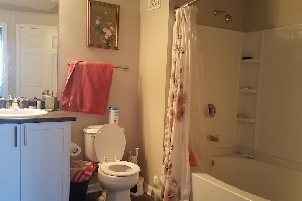 spa style bathroom