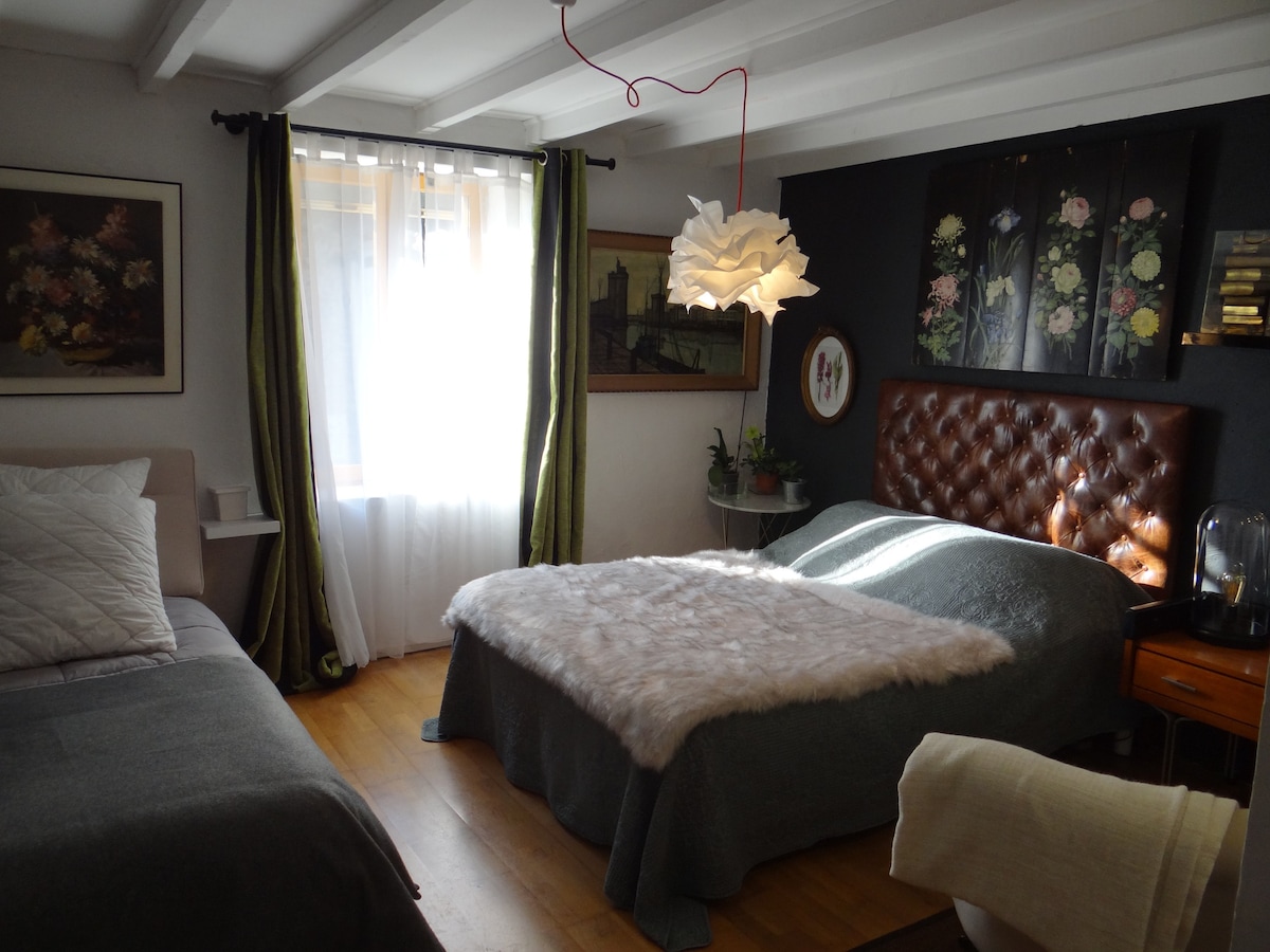 غرفة نوم واسعة/غرفة نوم كبيرة