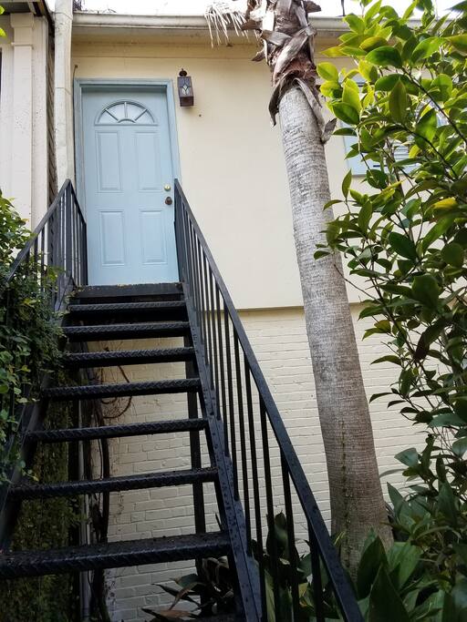 Stairs to access the Camelia not for the fainthearted!