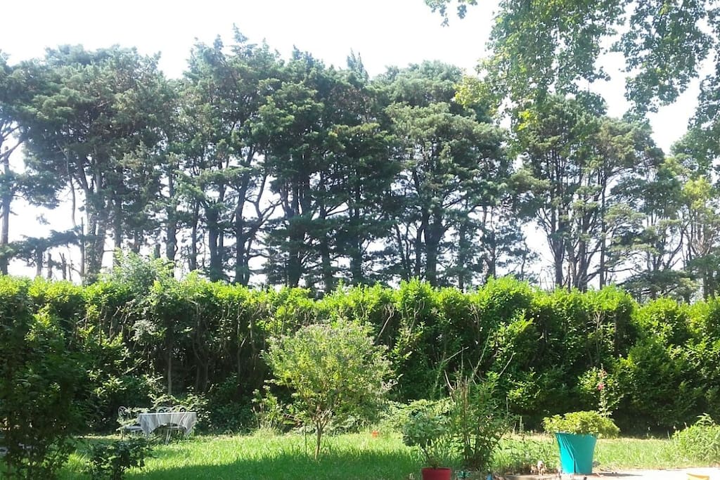Le jardin bucolique