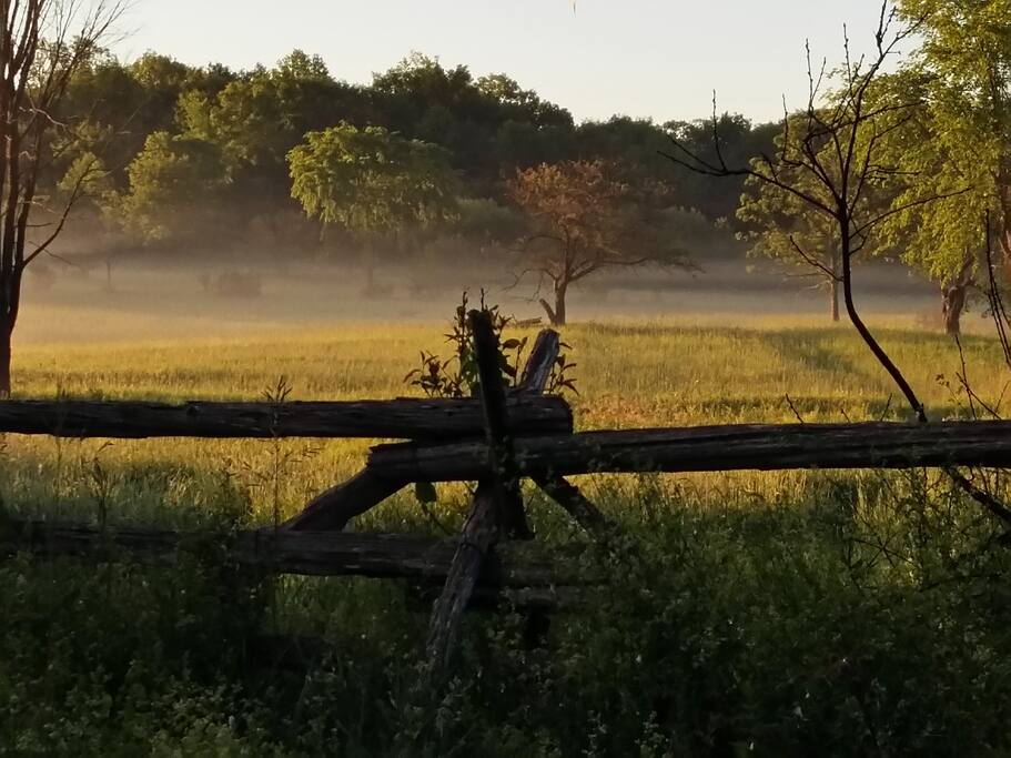 Hay fields at dawn