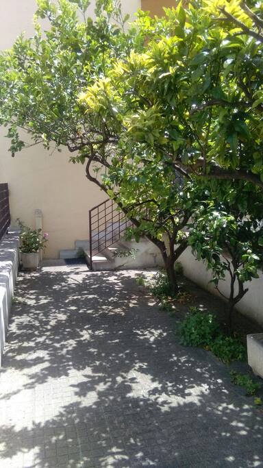 ingresso