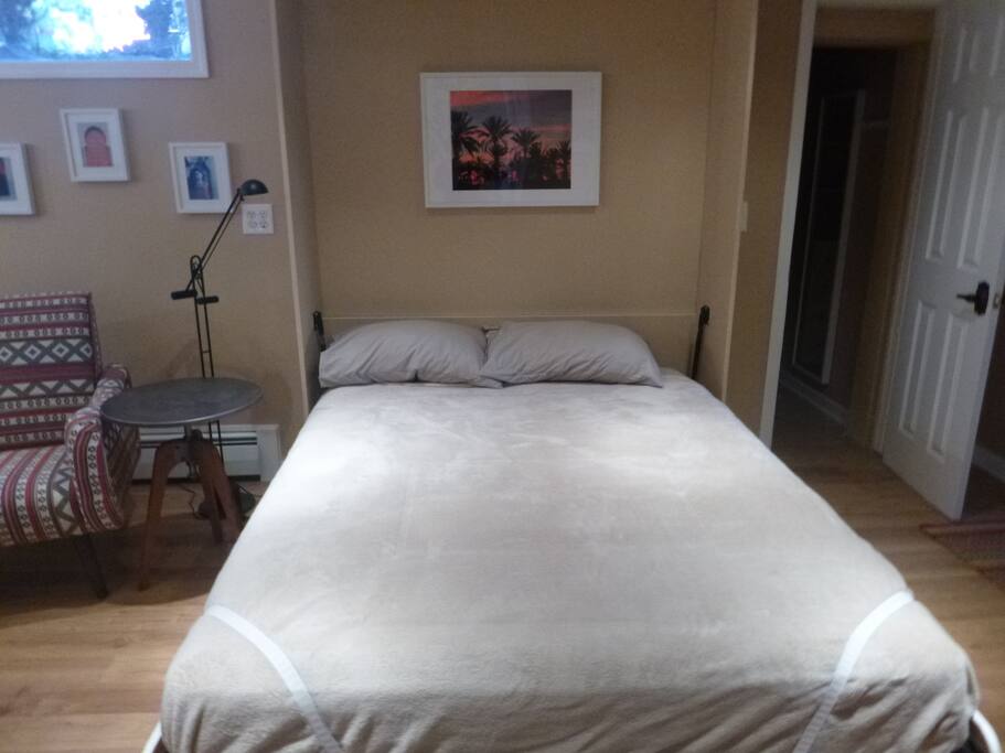 Queen murphy bed
