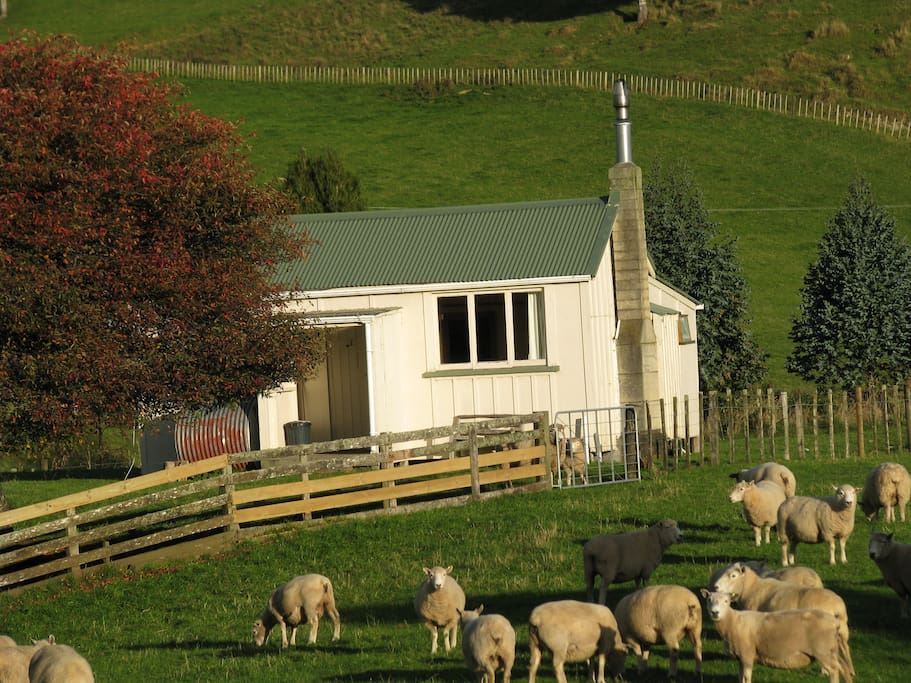 Bush Hill Cottage