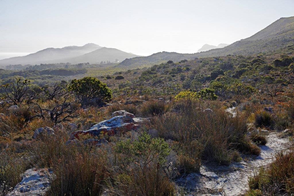 Mountain walk views 2/2
